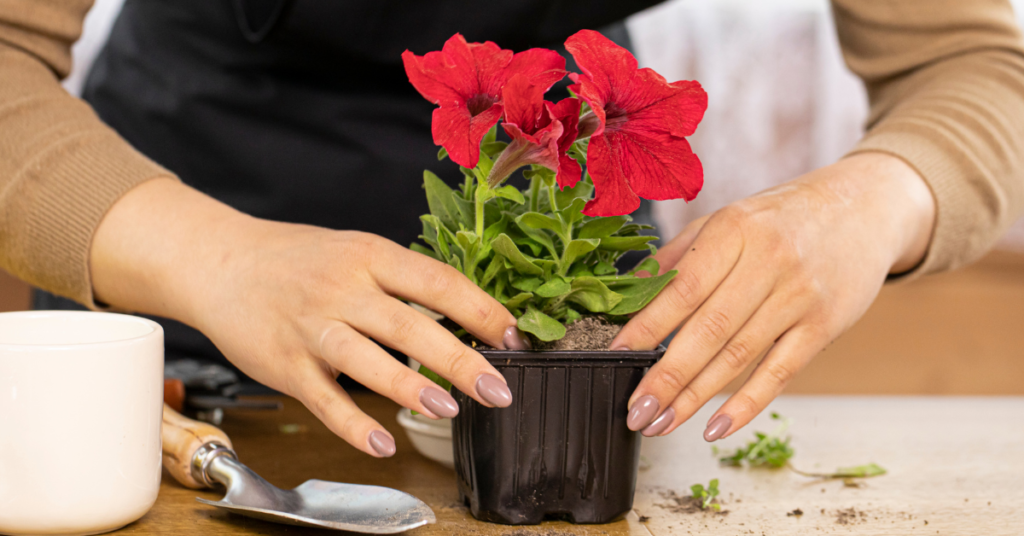 jardim-vertical-vasos-plantas-suporte-flores 3